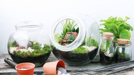 How To Set Up Garden Under Glass How To Set Up Garden Under Glass
