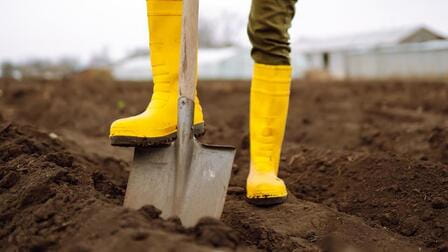 How To Use Shovel