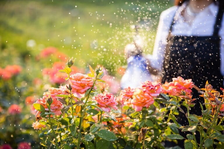 How To Setup Sprinkler System How To Setup Sprinkler System