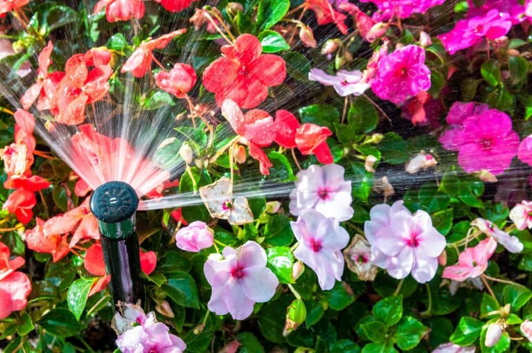 How To Setup Sprinkler System How To Setup Sprinkler System