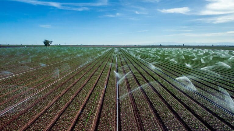 Benefits Of Sprinkler System Benefits Of Sprinkler System