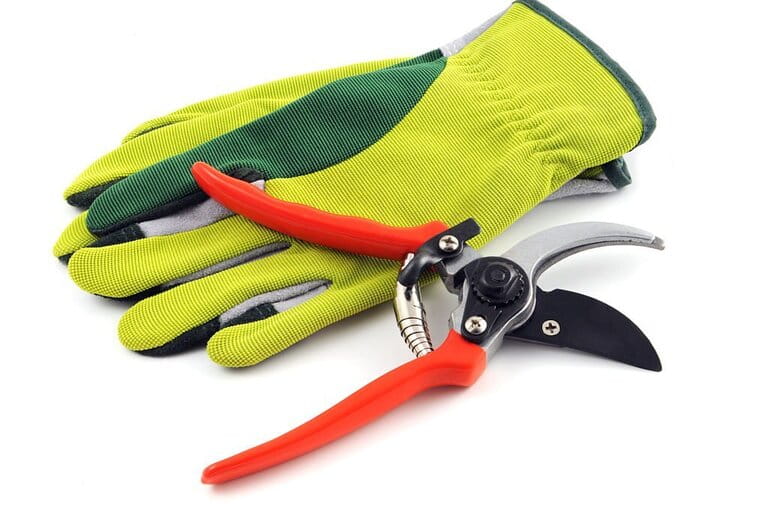 How To Use Pruners How To Use Pruners