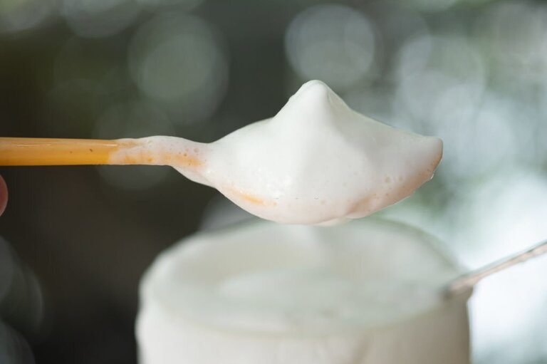 Benefits of Milk Frother Benefits of Milk Frother
