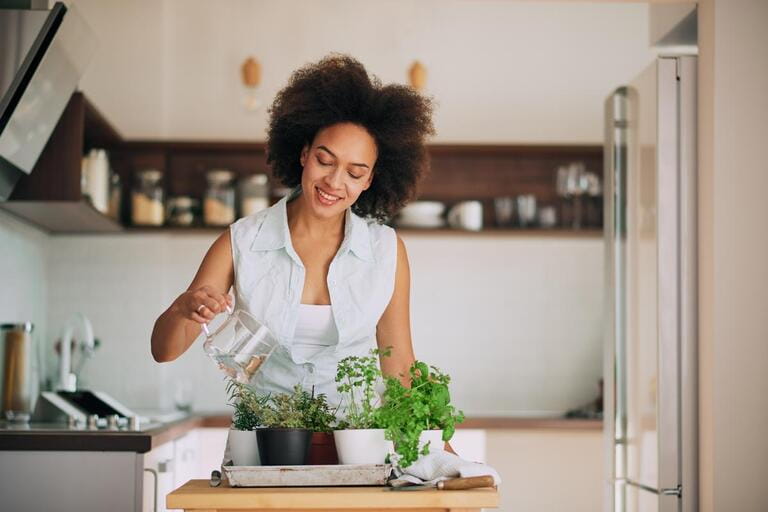 How To Plant Kitchen Garden