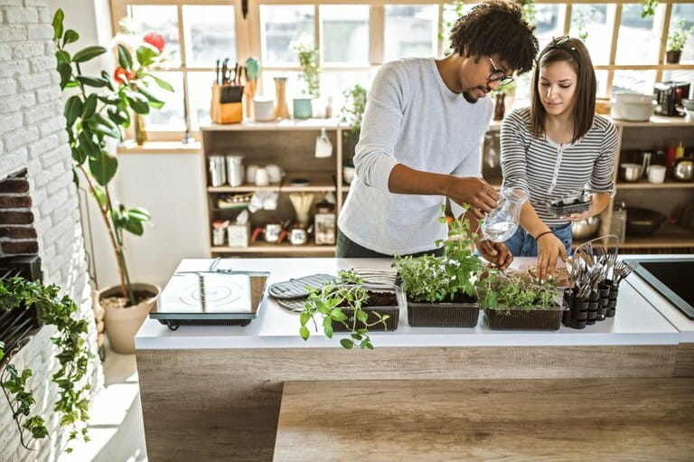 How To Grow Herbs In Kitchen How To Grow Herbs In Kitchen