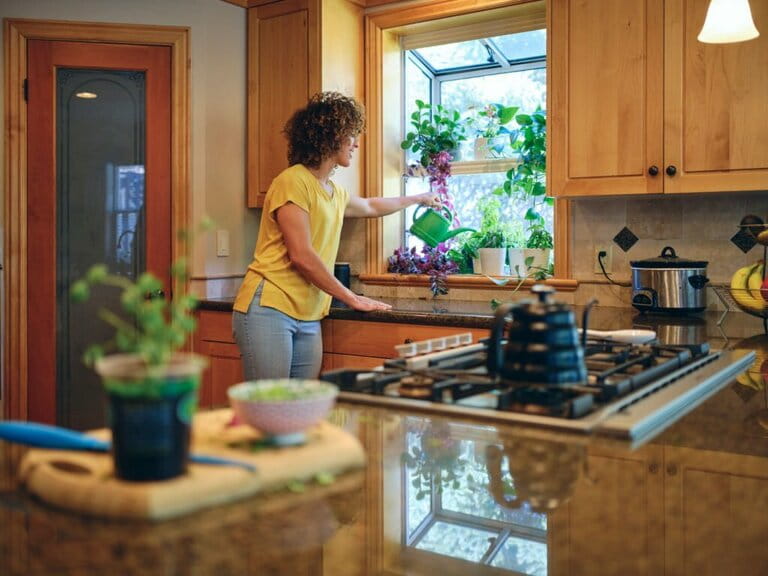 How To Grow Herbs In Kitchen How To Grow Herbs In Kitchen