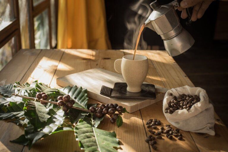 How To Choose Percolator For Coffee How To Choose Percolator For Coffee