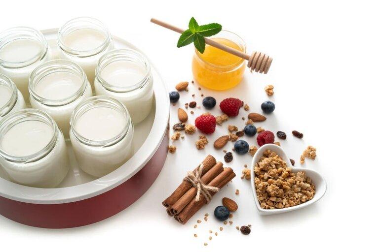 How to Choose Yogurt Maker How to Choose Yogurt Maker