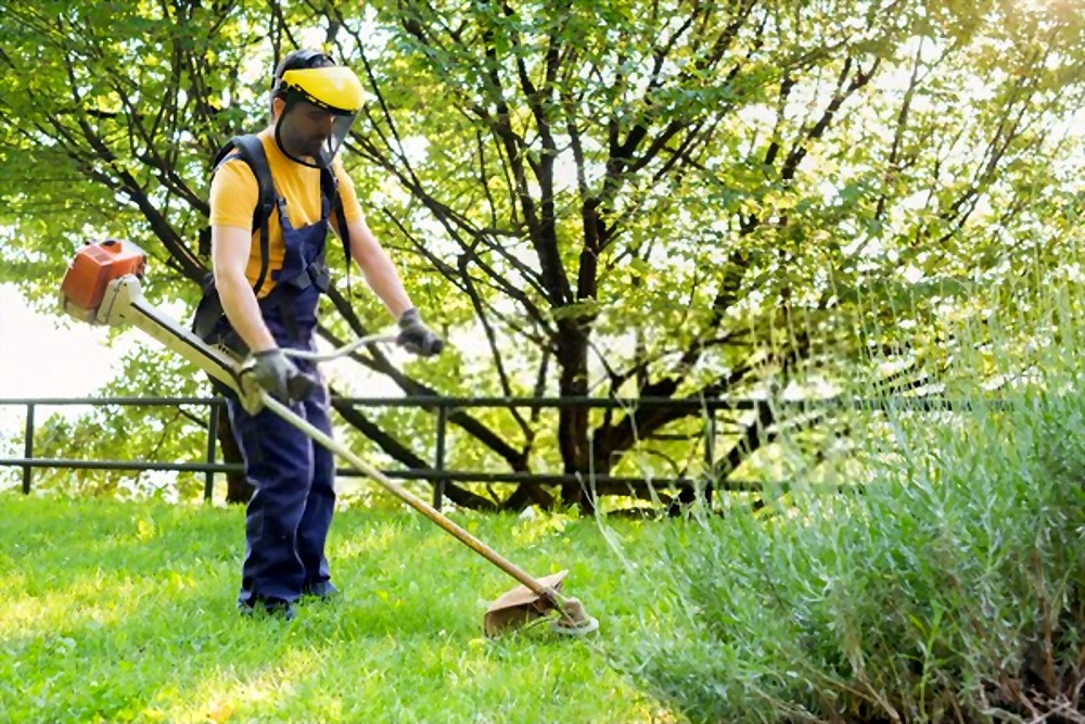 12 Essential Gardening Tools For Every Gardener 12 Essential Gardening Tools For Every Gardener