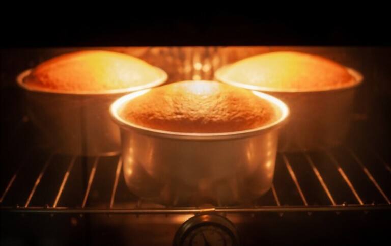 How To Choose Baking Oven How To Choose Baking Oven