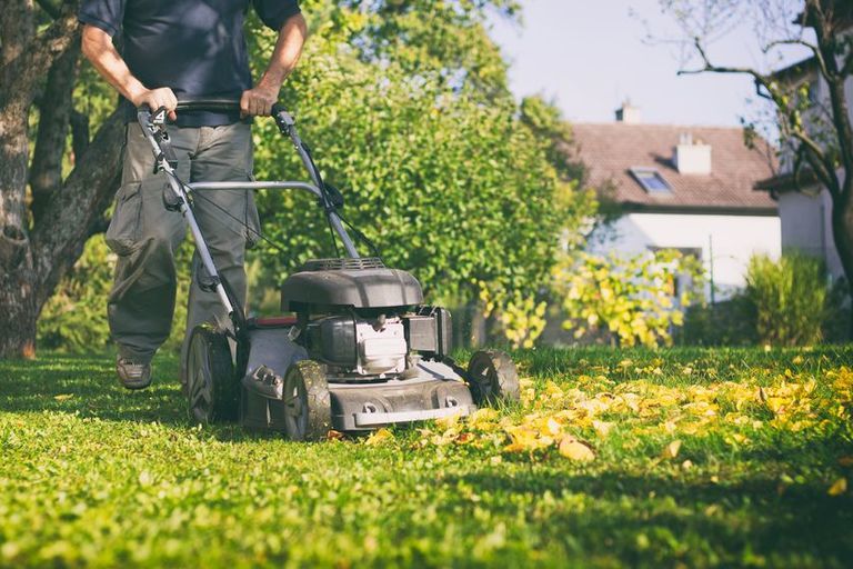 12 Essential Gardening Tools For Every Gardener 12 Essential Gardening Tools For Every Gardener