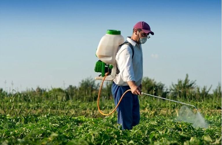 12 Essential Gardening Tools For Every Gardener 12 Essential Gardening Tools For Every Gardener