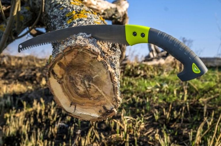 12 Essential Gardening Tools For Every Gardener 12 Essential Gardening Tools For Every Gardener