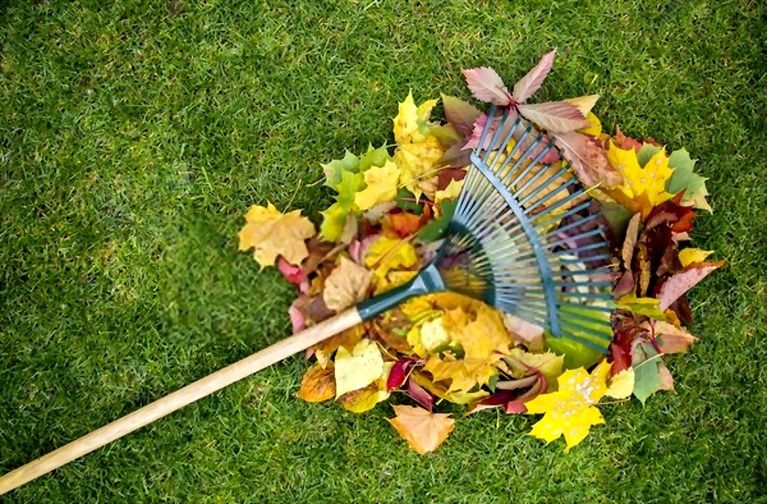 12 Essential Gardening Tools For Every Gardener 12 Essential Gardening Tools For Every Gardener
