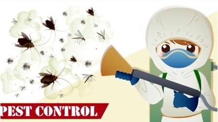 6 Best Pest Control Sprayers of 2026 6 Best Pest Control Sprayers of 2026