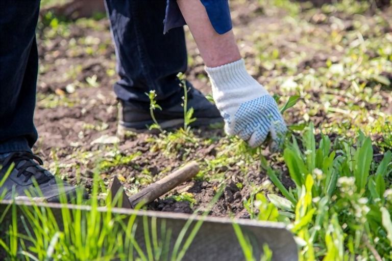 How To Build Raised Garden Beds How To Build Raised Garden Beds