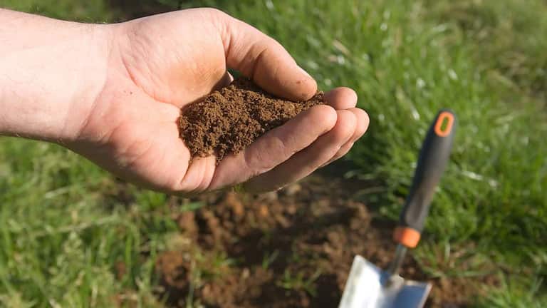 How To Grow Grass Fast And Cheap How To Grow Grass Fast And Cheap