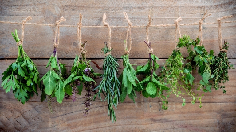 10 Best Vegetables For Small Garden 10 Best Vegetables For Small Garden
