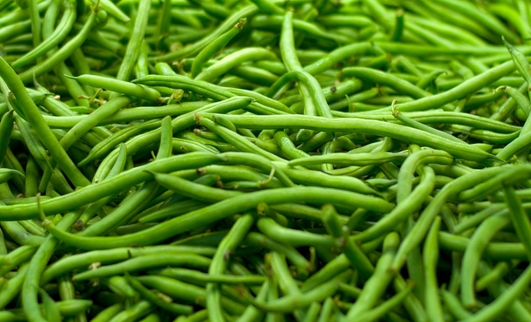 10 Best Vegetables For Small Garden 10 Best Vegetables For Small Garden