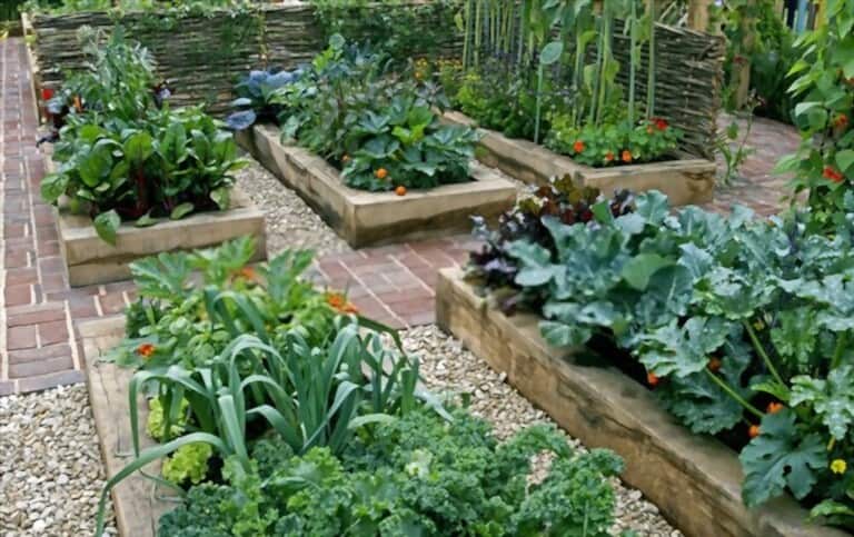 Different Types Of Gardening Different Types Of Gardening