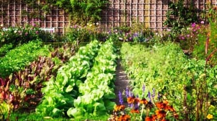Different Types Of Gardening Different Types Of Gardening