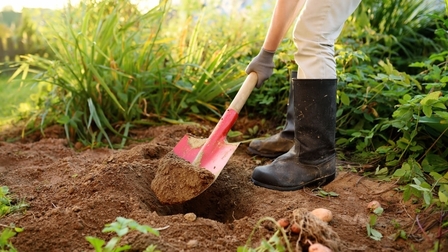 6 Best Shovels For Digging of 2026 6 Best Shovels For Digging of 2026