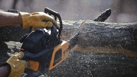 6 Best Chainsaw for Firewood of 2026 6 Best Chainsaw for Firewood of 2026