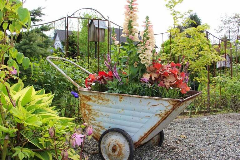 Decoration Ideas for Your Garden Decoration Ideas for Your Garden