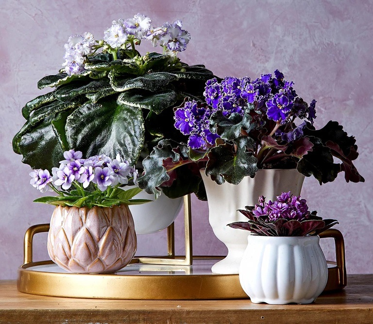 Ideas for Garden Style Flower Arrangements Ideas for Garden Style Flower Arrangements