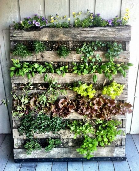 Ideas of Garden Backdrop Styles Ideas of Garden Backdrop Styles