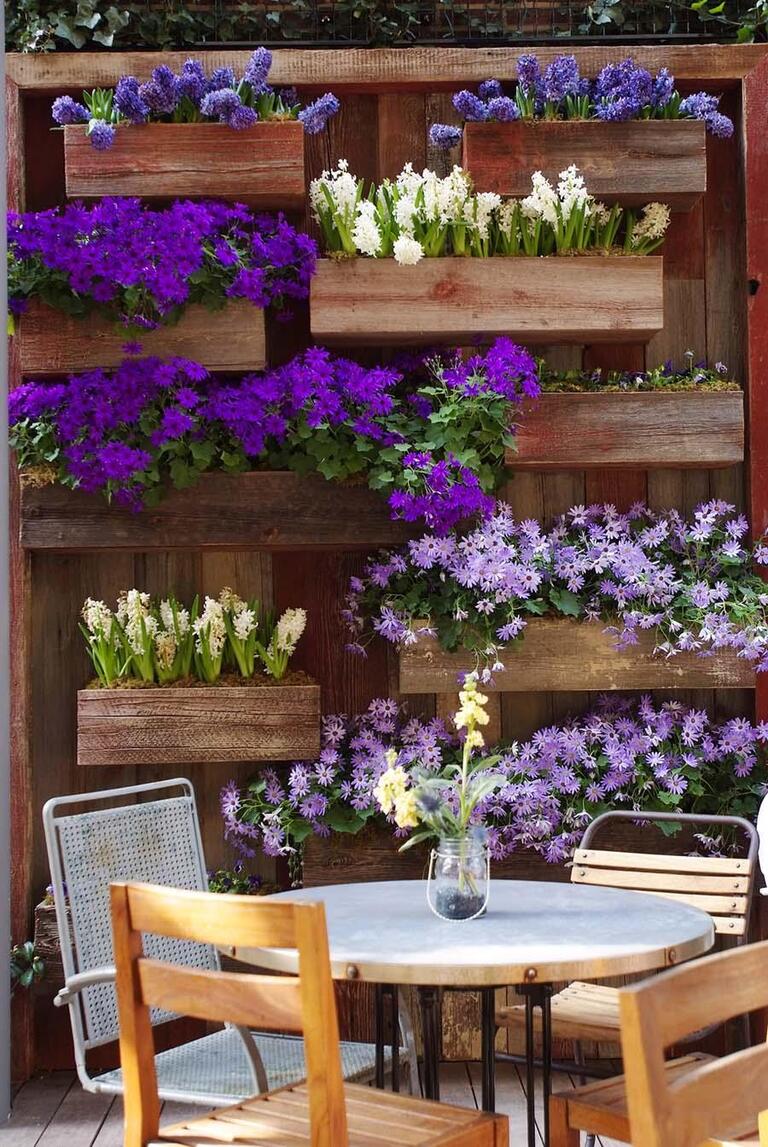 Ideas of Garden Backdrop Styles Ideas of Garden Backdrop Styles