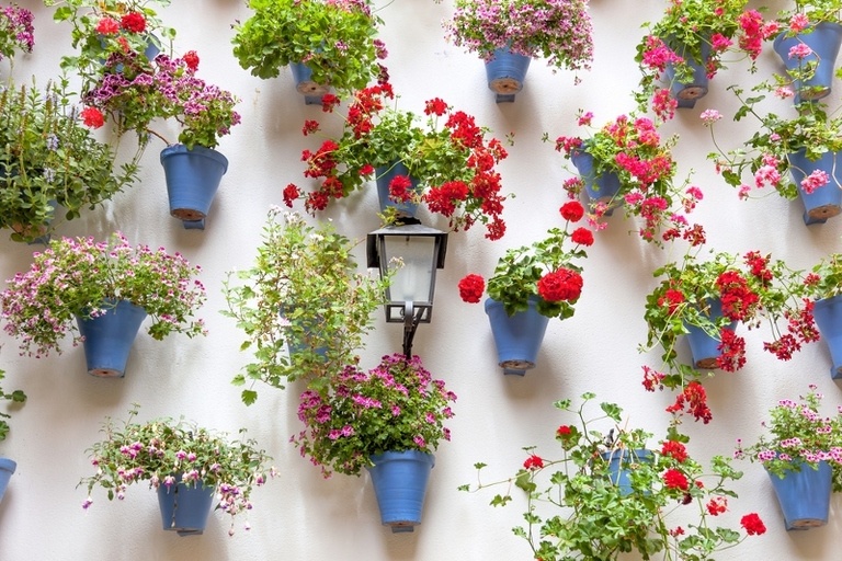 Ideas of Garden Backdrop Styles Ideas of Garden Backdrop Styles